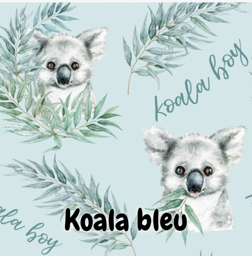 Koala boy garçon fond bleu